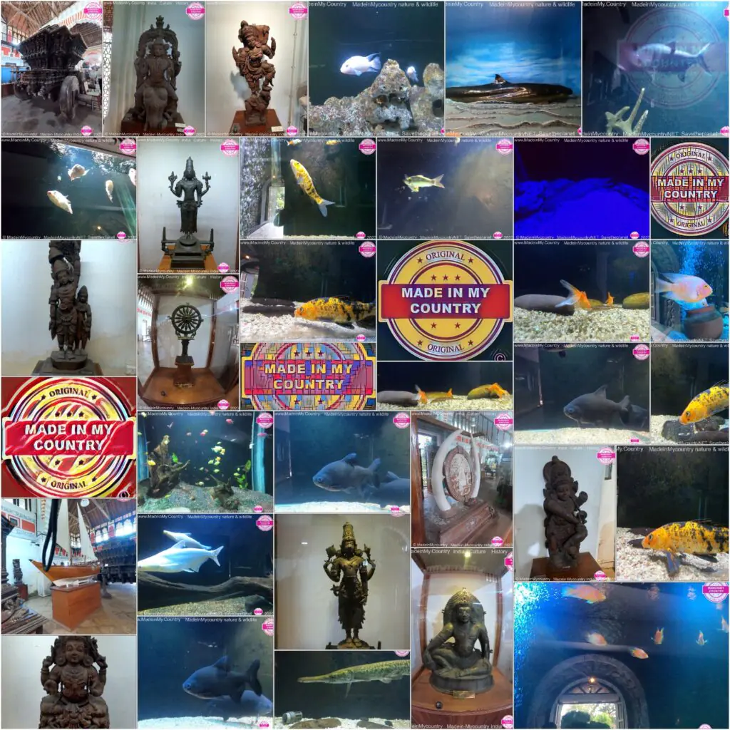 Kerala Museum of Natural History presented by MadeinMycountry
MadeinMycountry is a global platform that celebrates and supports local history, culture, art, and nature conservation efforts. For two decades, we have been sponsoring local museums, cultural organizations, travel destinations, historical sites and various cultural events around the world.
