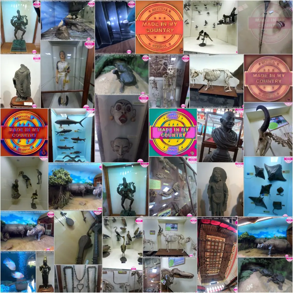 Kerala Museum of Natural History presented by MadeinMycountry
MadeinMycountry is a global platform that celebrates and supports local history, culture, art, and nature conservation efforts. For two decades, we have been sponsoring local museums, cultural organizations, travel destinations, historical sites and various cultural events around the world.
