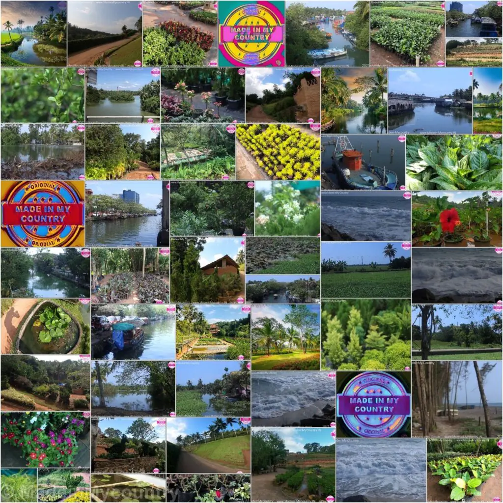 MadeinMycountry India! MadeinMycountry is a global platform that celebrates and supports local history, culture, art and nature conservation efforts.